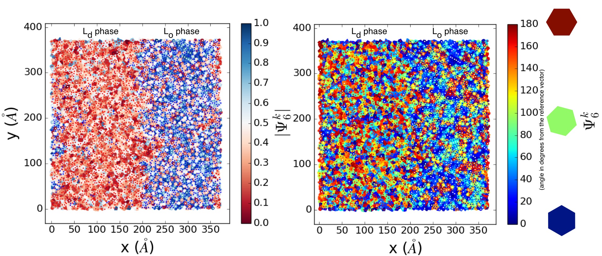 Phase separated 2D boo