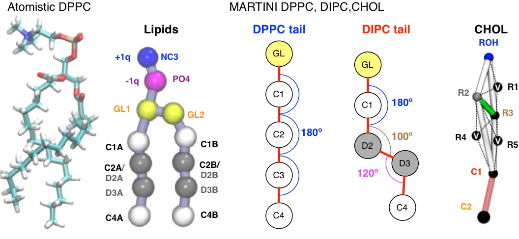 Domain Schematic