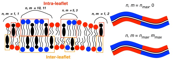 Domain Schematic